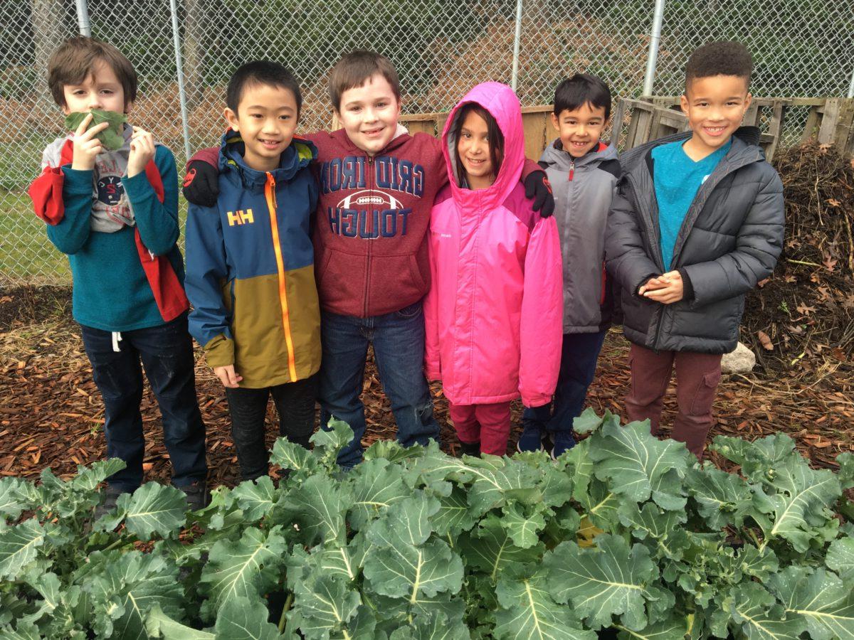 6 students stand in a school garden by a large crop of kale