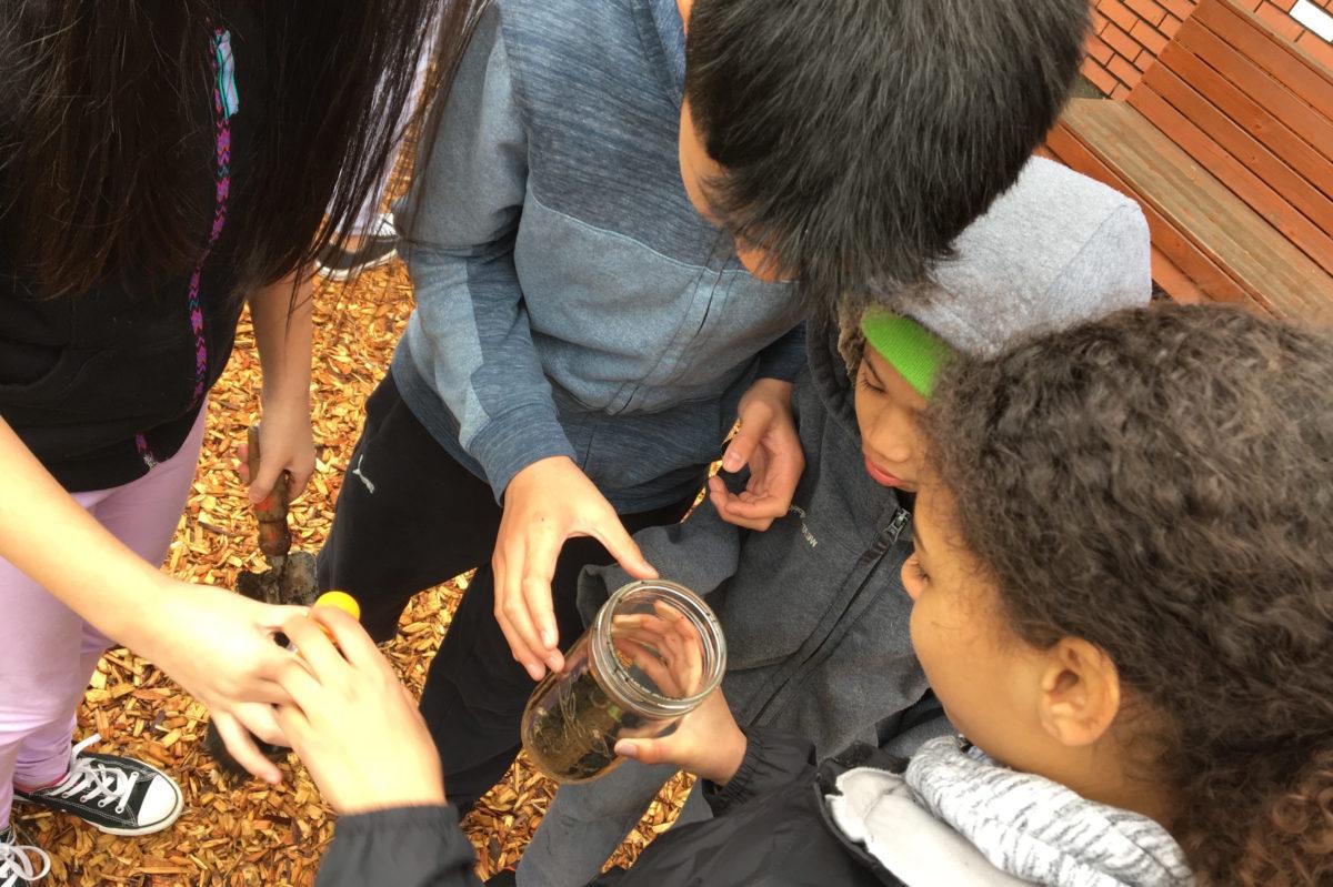4个学生正在看一个泥瓦匠罐子，里面装满了泥土，里面有一片苹果片